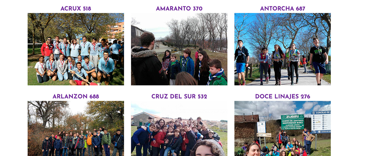 diseño web scouts castilla y leon