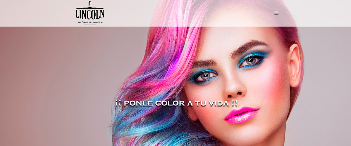 diseno-web-peluqueria-valladolid1