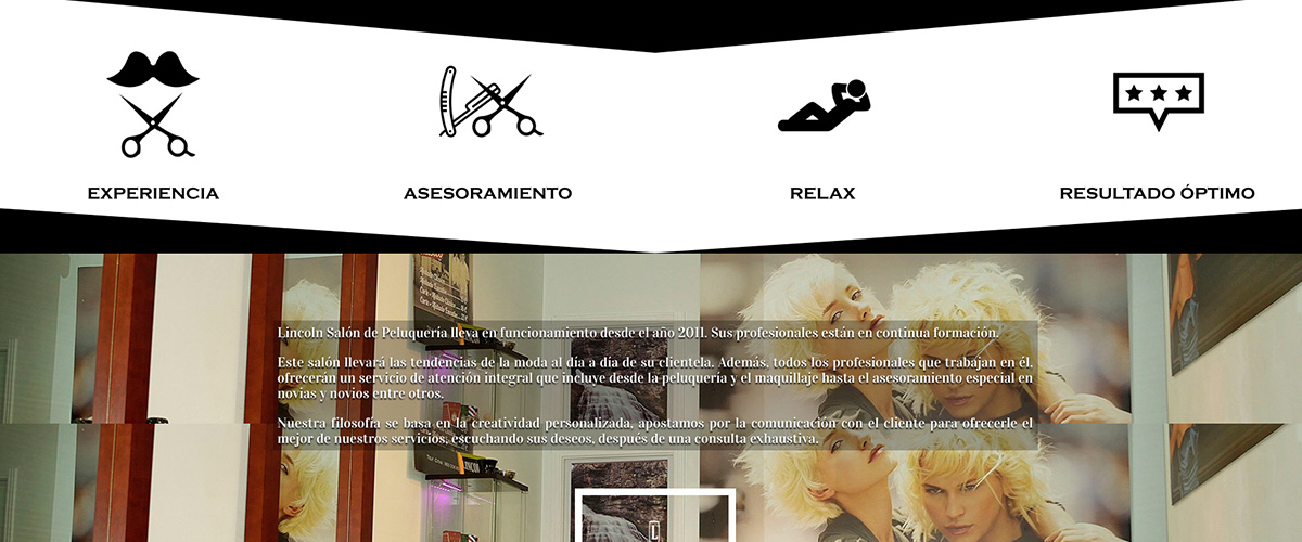 diseno-web-peluqueria-valladolid2