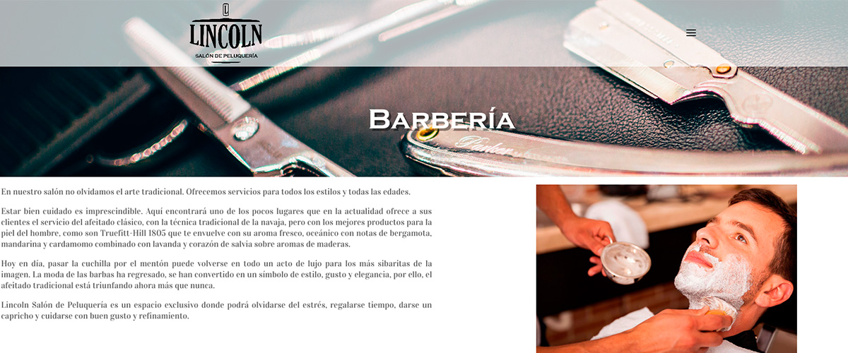 diseno-web-peluqueria-valladolid4