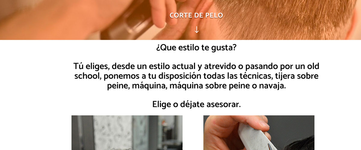 diseno1-pagina-web-peluqueria-caballeros-valladolid